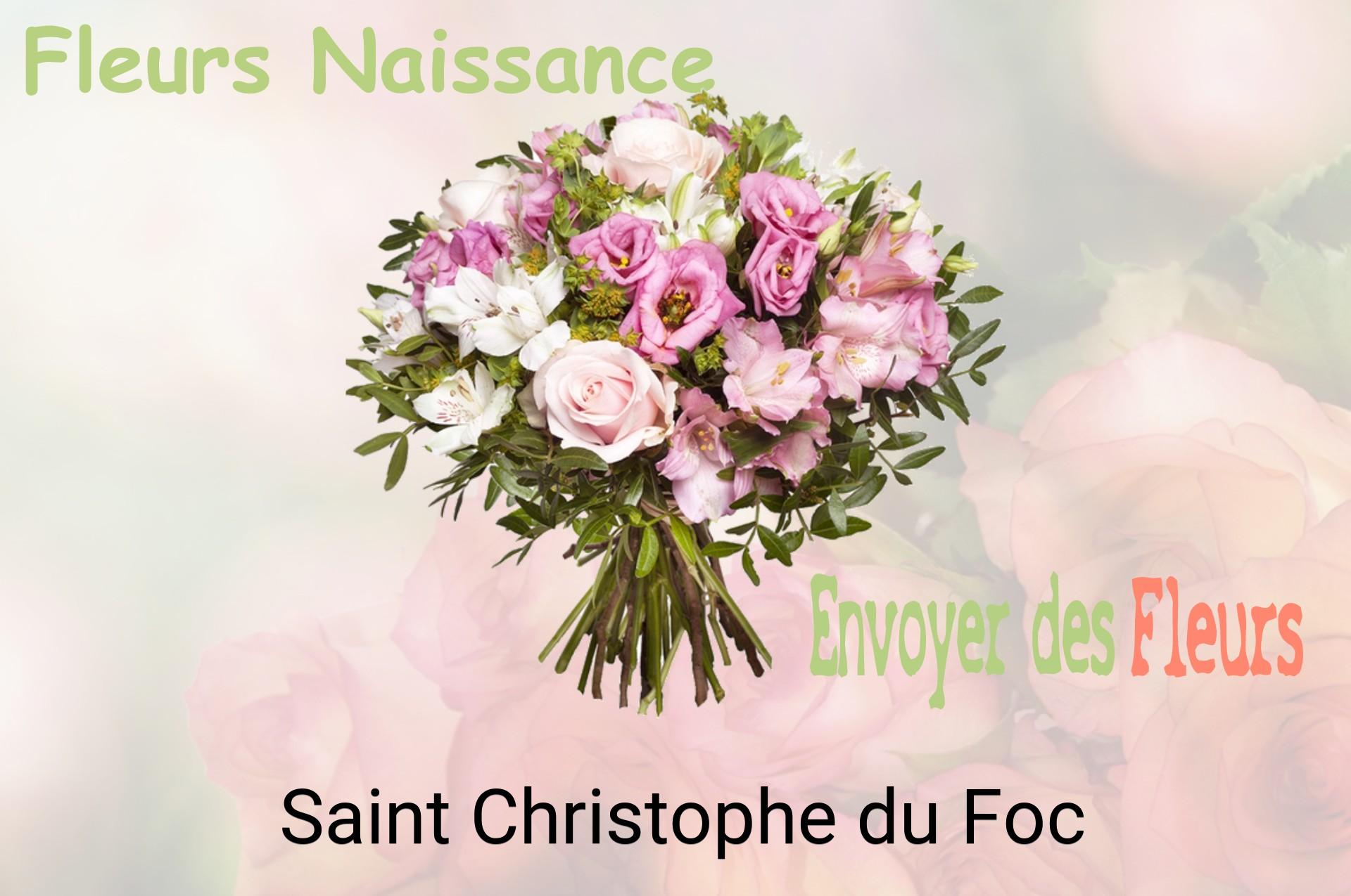 Bouquet de fleurs de naissance livré à Saint-Christophe-du-Foc