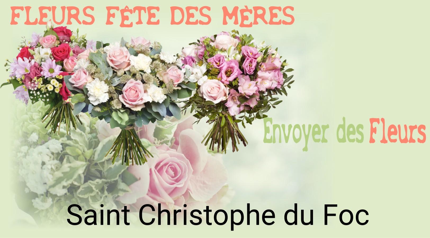 Bouquet de Fête des Mères livré à Saint-Christophe-du-Foc